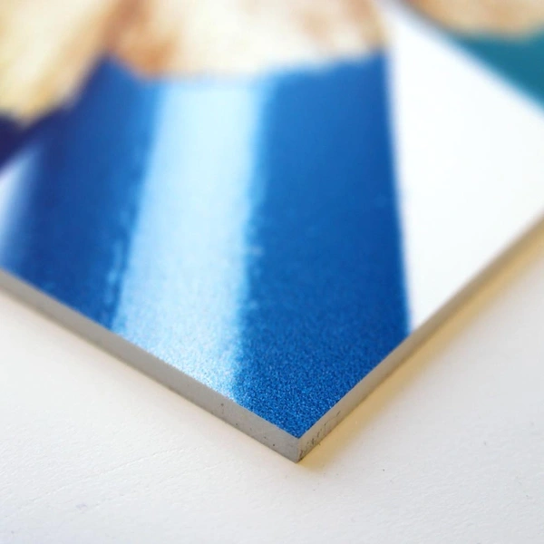 Material in use
